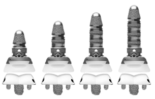 INBONE® Total Ankle Replacement